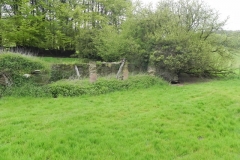 14. Ruined Barn Hazery Plantation