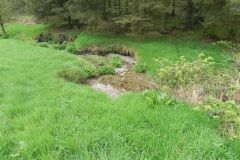 15 Flowing through Hazery Plantation