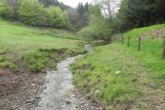 16 Flowing through Hazery Plantation