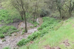 17 Flowing through Hazery Plantation
