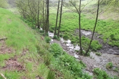 18 Flowing through Hazery Plantation