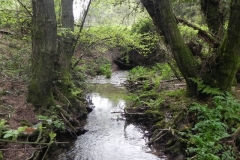 19. Track culvert Hazery Plantation