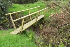 2. Footbridge below Withiel Hill headwaters