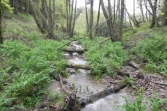 20. Track culvert Hazery Plantation