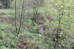 21. Track culvert Hazery Plantation