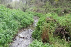 23. Upstream from Tarr Water Cottages