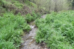 24. Upstream from Tarr Water Cottages