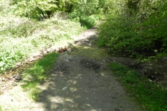 25. Headwaters from Treborough join
