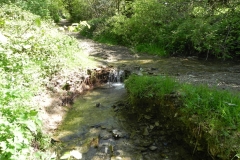 26. Headwaters from Treborough join
