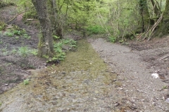 26. Upstream from Tarr Water Cottages