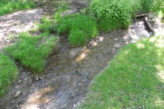 27. Headwaters from Treborough join