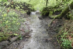 27. Upstream from Tarr Water Cottages