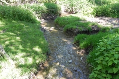 28. Downstream from join with Treborough Headwaters
