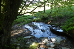 29. Downstream from join with Treborough Headwaters