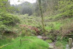 3. Withiel Hill headwaters join