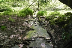 30. Downstream from join with Treborough Headwaters