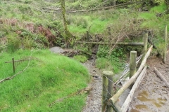 4. Withiel Hill headwaters join