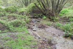 5. Withiel Hill headwaters join