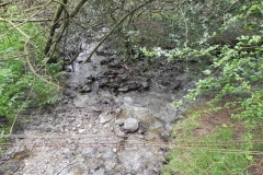 7. Withiel Hill headwaters join