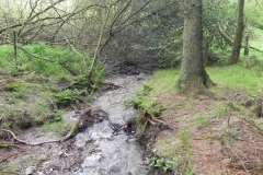 9 Flowing through Hazery Plantation