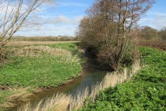 13.-Upstream-from-Two-Bridges-Bridge