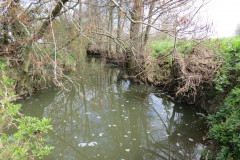 23.-Upstream-from-ROW-bridge-West