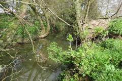 24.-Upstream-from-ROW-bridge-West