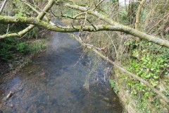 28.-Looking-Downstream-from-ROW-bridge-East