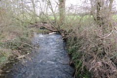 29.-Looking-upstream-from-from-ROW-bridge-East