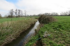 34.-Downstream-from-Fivehead-Bridge-10