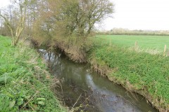 34.-Downstream-from-Fivehead-Bridge-11