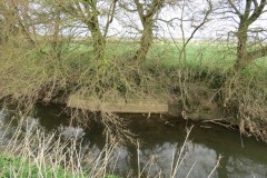 34.-Downstream-from-Fivehead-Bridge-12