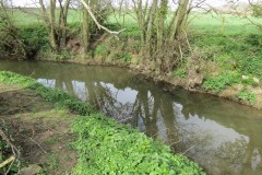 34.-Downstream-from-Fivehead-Bridge-13