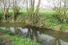 34.-Downstream-from-Fivehead-Bridge-14