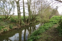34.-Downstream-from-Fivehead-Bridge-15