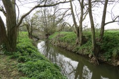 34.-Downstream-from-Fivehead-Bridge-16