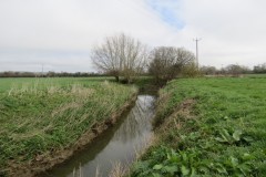 34.-Downstream-from-Fivehead-Bridge-4