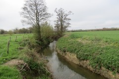 34.-Downstream-from-Fivehead-Bridge-5