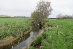 34.-Downstream-from-Fivehead-Bridge-6