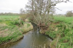 34.-Downstream-from-Fivehead-Bridge-8
