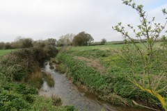 34.-Downstream-from-Fivehead-Bridge-9