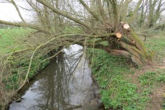 37.-Looking-downstream-from-Fivehead-Bridge