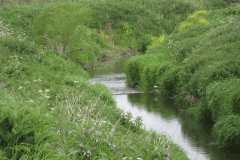 13.-Downstream-from-Meads-Lane-Bridge