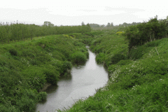 15.-Downstream-from-Meads-Lane-Bridge