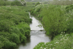 17.-Downstream-from-Meads-Lane-Bridge