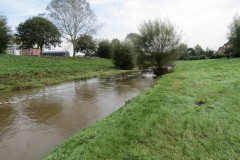 20.-Downstream-from-Firepool-Weir-1