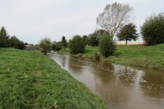 20.-Downstream-from-Firepool-Weir-4