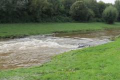 40.-Downstream-from-Obridge-Viaduct-5