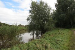 67.-Downstream-from-Bathpool