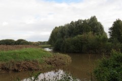 71.-Downstream-from-Bathpool